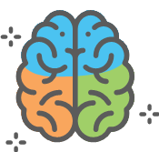 Brain
